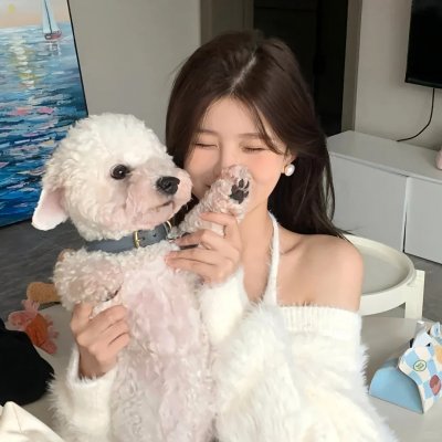 警上添花 海报